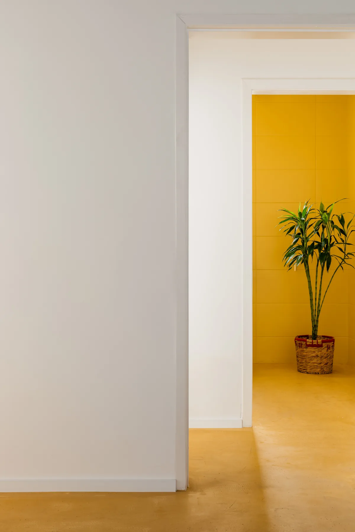 Casa COBR — negócios em Barra Velha, SC, foto Mariana Koentopp (16/22)