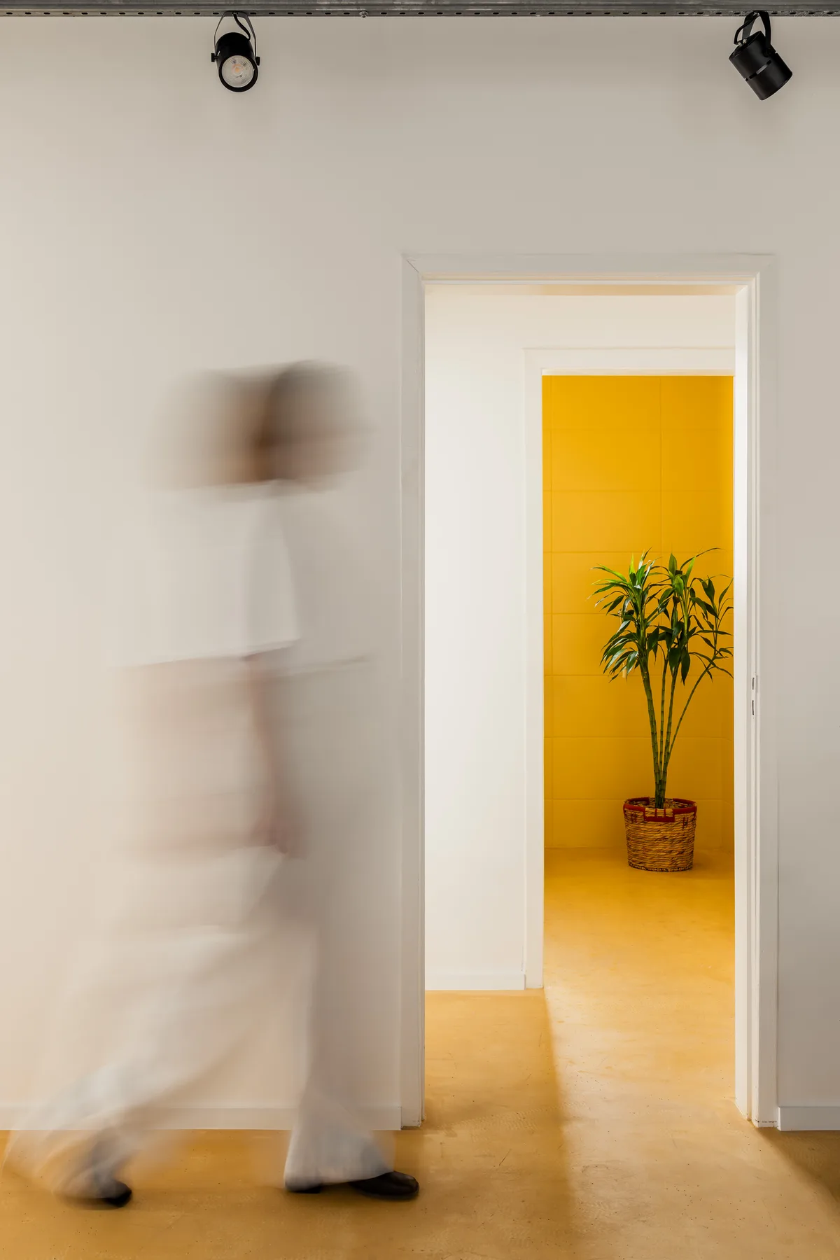 Casa COBR — negócios em Barra Velha, SC, foto Mariana Koentopp (18/22)