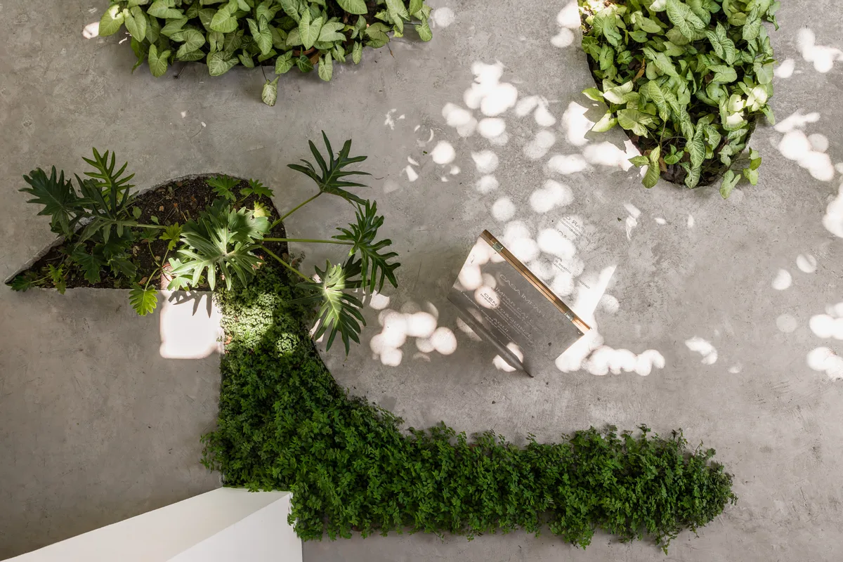 Casa Ímpar — negócios em Balneário Camboriú, SC, foto Mariana Koentopp (8/20)