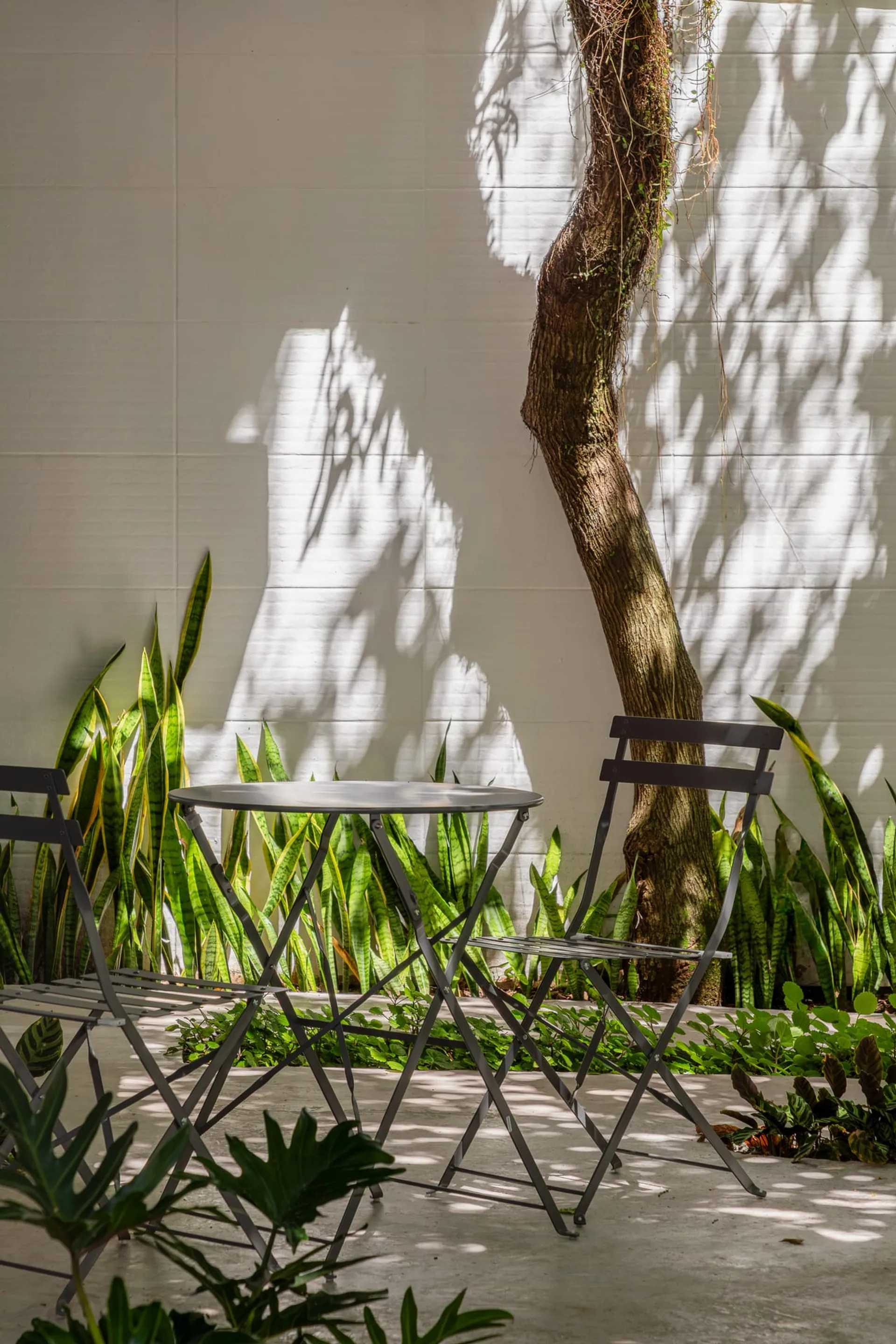 Casa Ímpar · COBR Arquitetura, projeto negócios em Balneário Camboriú SC